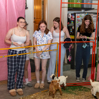 Party