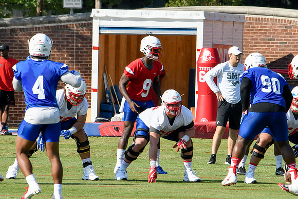 William Brown Surveys Defense
